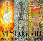 MESHUGGAH - Destroy Erase Improve